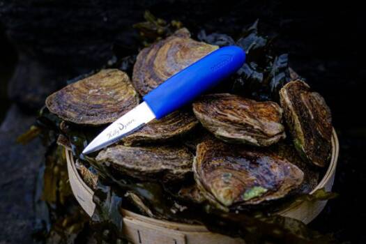 Kelly oysters knife